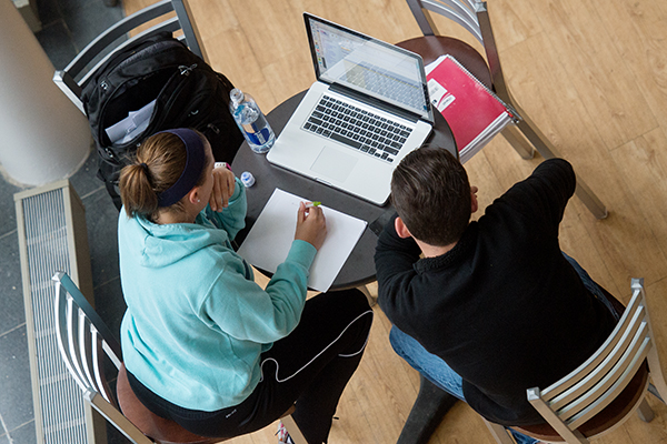 Two online MSF students studying
